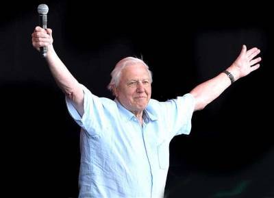 Sir David Attenborough leaves Instagram after just two months - evoke.ie