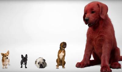'Clifford the Big Red Dog' Movie Debuts First Look Teaser! - www.justjared.com