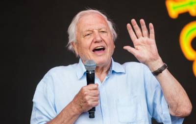 David Attenborough leaves Instagram just two months after breaking followers record - www.nme.com