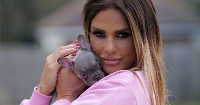 Katie Price is all smiles as she cuddles and kisses new puppy Precious five months after dog's death - www.ok.co.uk