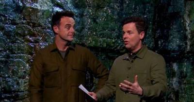I'm A Celeb fans in stitches over Ant & Dec's 'sass' during Shane and Hollie's trial - www.msn.com