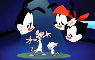 ‘Animaniacs’ episode taken down after accidentally featuring sex hotline - www.nme.com