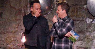Ant and Dec reveal what they really do in the I'm A Celeb ad break - www.msn.com