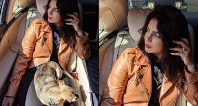 Priyanka Chopra Jonas confirms filming in Berlin as she poses with her dog Diana while looking super chic - www.pinkvilla.com - USA - Germany