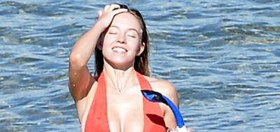 Sydney Sweeney Rocks Red Bikini While Snorkeling in Hawaii! - www.justjared.com - Hawaii - county Maui