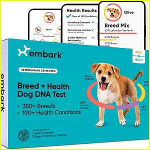 This Dog DNA Test That Has Amazing Reviews Is $64 Dollars Off Right Now - www.justjared.com