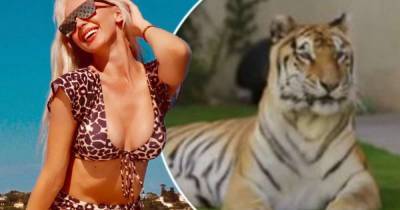 Selling Sunset's Christine Quinn reveals she has a PET TIGER - www.msn.com