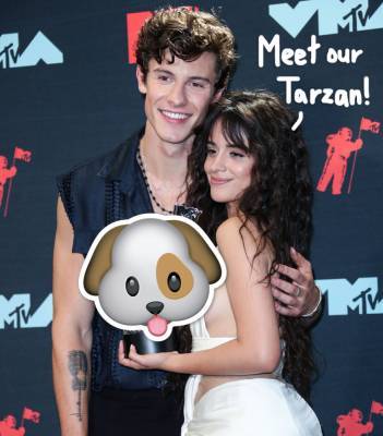 Shawn Mendes & Camila Cabello Are Officially DOG Parents -- Meet Their Adorable New Pup Tarzan! - perezhilton.com