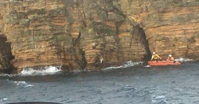 Dramatic pictures show dog being rescued after falling off Scots cliff - www.dailyrecord.co.uk - Scotland