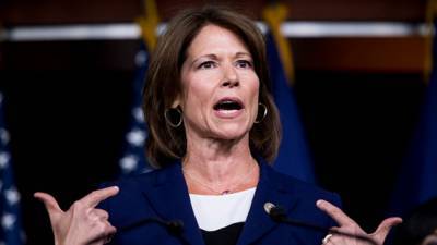 DCCC's Cheri Bustos wins re-election in Illinois after scrappy fight - www.foxnews.com - Illinois