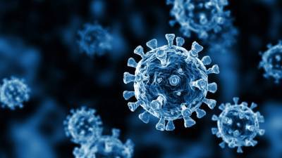 Coronavirus cases linked to ‘large’ Halloween weekend gathering forces New York high school to close - www.foxnews.com - New York - New York