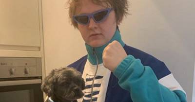 Lewis Capaldi heartbroken at death of beloved dog as he pays tribute to 'the major' - www.dailyrecord.co.uk - Scotland