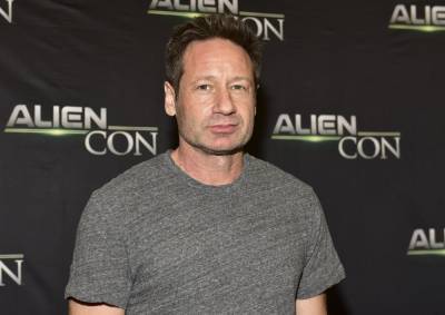 David Duchovny Debuts Politically Charged Anthem ‘Layin’ On The Tracks’ Amid U.S. Election - etcanada.com