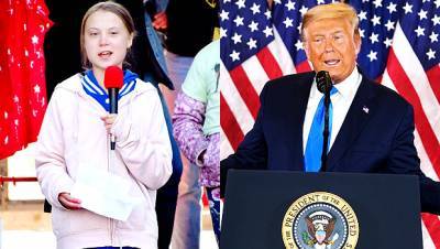Greta Thunberg Hilariously Trolls Donald Trump With Callback To His ‘Anger Management’ Tweet - hollywoodlife.com