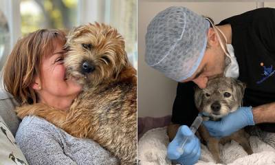 Lorraine Kelly shares relief after Supervet Noel Fitzpatrick's pet dog Keira recovers after accident - hellomagazine.com