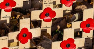 Download your poppy to mark Remembrance Sunday from your doorstep in Scotland - www.dailyrecord.co.uk - Scotland