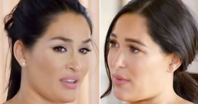Nikki Bella and Brie Bella Don’t Agree on Letting Each Other Breast-Feed Their Baby Boys: Video - www.usmagazine.com