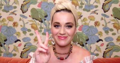 Katy Perry sparks backlash for ‘privileged’ call to reach out to Trump-supporting family members - www.msn.com - USA
