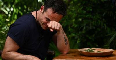 I'm a Celeb's Ant threatens to sack Dec's wife during their Bushtucker Trial - www.msn.com