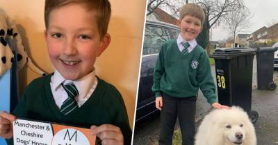 Seven-year-old raises £1,000 and collects ‘conservatory full of toys’ for homeless dogs this Christmas - www.manchestereveningnews.co.uk - Manchester