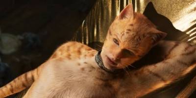 19 Cat Movies for Feline Fanatics to Watch Right Now - www.cosmopolitan.com