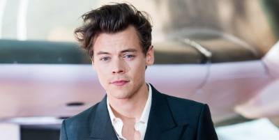 Don't Worry, Harry Styles' Pandemic Dating Life Is 'Nonexistent,' Too - www.elle.com