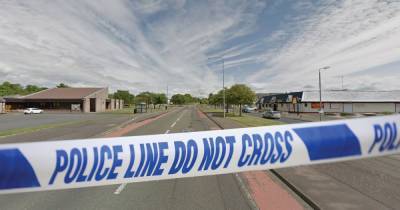 Dog dies after being hit by police car in Kilmarnock - www.dailyrecord.co.uk - Scotland