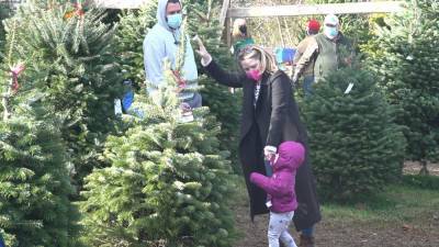 Pandemic boosts business for Christmas tree farms - www.foxnews.com - Pennsylvania
