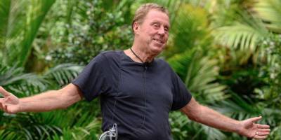 I'm a Celebrity's Harry Redknapp announced in line-up for another reality show - www.msn.com