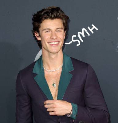 Shawn Mendes Sounds Off On 'Frustrating' Rumors About Being Gay: 'I Really Suffered With That S**t' - perezhilton.com