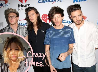 One Direction Hairstylist Spills All & Reveals How The Boys Slept Around With Staff! - perezhilton.com - Britain