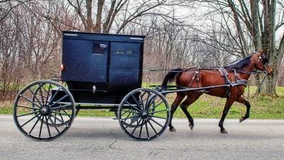 3 children killed, 4 injured in accident involving horse and buggy in Pennsylvania - www.foxnews.com - Britain - Pennsylvania - county Lancaster