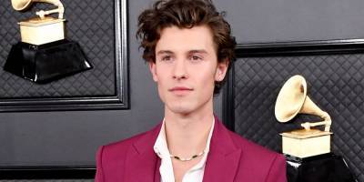 Shawn Mendes Says Rumors He's Gay Deeply Affected and 'Frustrated' Him - www.elle.com