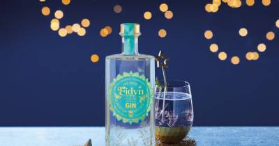 Aldi launches range of new Scottish Gin deals just in time for Christmas - www.dailyrecord.co.uk - Scotland