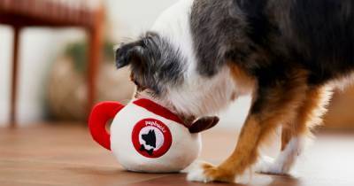Treat Your Pet! 5 Gifts From Chewy That Will Have Your Dog’s Tail Wagging - www.usmagazine.com