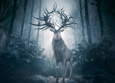 The chilling first look at Netflix’s Shadow and Bone is here - evoke.ie - Ireland