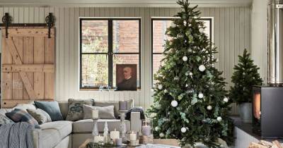 REVEALED: our fave celebrity Christmas decor for 2020 – and where it's all from! - www.msn.com