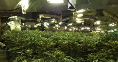 Two men arrested after police discover huge cannabis farm worth £100k in morning raid - www.manchestereveningnews.co.uk