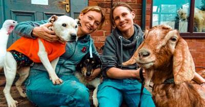 The free-roaming animal sanctuary at a Salford farm revolutionising dog rescues - www.manchestereveningnews.co.uk