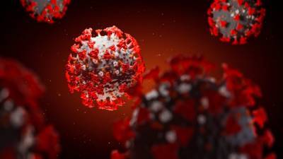 Coronavirus cases in South Carolina see record single-day high - www.foxnews.com - South Carolina