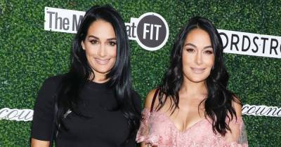 Nikki and Brie Bella Share Their Cutest Family Moments in Us Weekly’s ‘I Can Explain’ Game - www.usmagazine.com - county Napa
