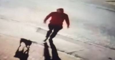 Police appeal for CCTV after 13-year-old girl 'punched in the face by dog walker' - www.manchestereveningnews.co.uk