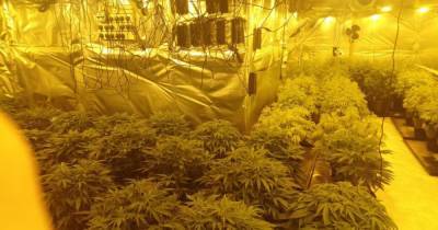 Pictures show enormous cannabis farm found at 'business premises' in Rochdale - www.manchestereveningnews.co.uk - city Rochdale