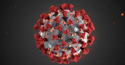 'Every region has cases': New strain of coronavirus has already spread across the country, health boss warns - www.manchestereveningnews.co.uk - Britain - London
