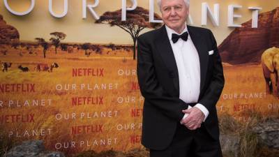 From his home, Attenborough shows viewers 'A Perfect Planet' - abcnews.go.com