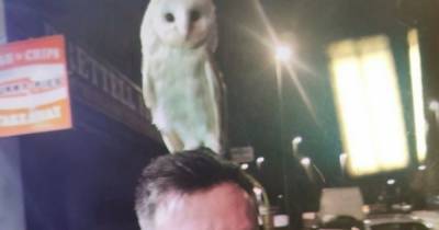 'So bizarre' Cops find two men taking pet owl for 2am stroll - www.dailyrecord.co.uk - Birmingham