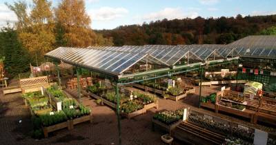 Garden centres across Lanarkshire to close from Boxing Day under Level 4 restrictions - www.dailyrecord.co.uk