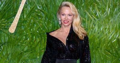 Pamela Anderson turned boob obsession onto saving animals - www.msn.com