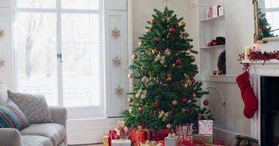 Christmas Tree Syndrome could be the reason behind 'winter hayfever' - www.dailyrecord.co.uk