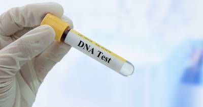 Man gets girlfriend DNA test for Christmas which uncovers 30 year-old family secret - www.dailyrecord.co.uk - USA